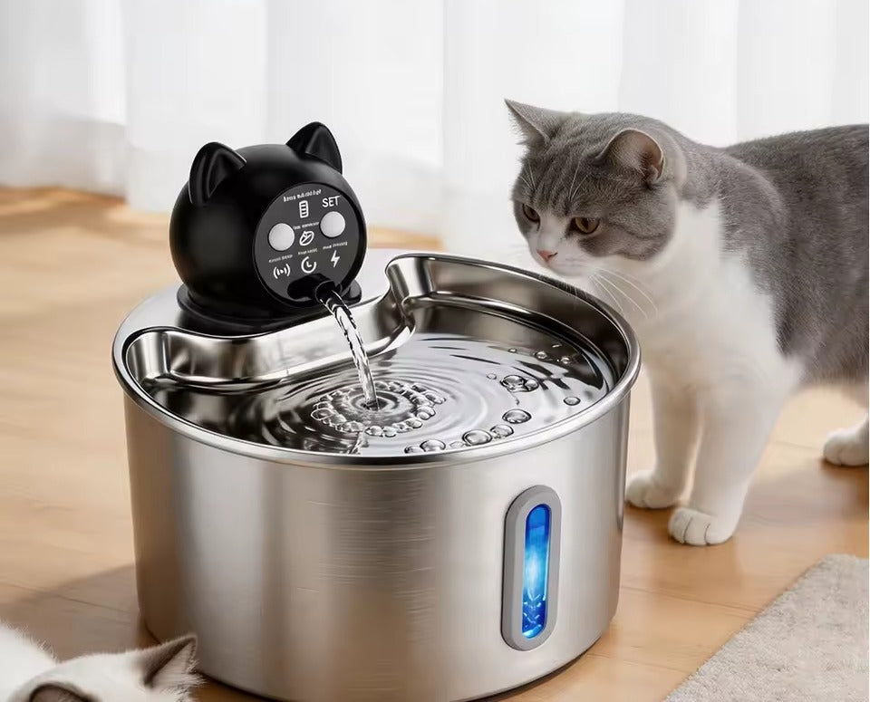 Chat gris et blanc observant l'eau en mouvement de la fontaine FAUNVIA en acier inoxydable